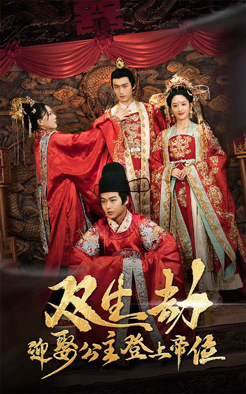 双生劫迎娶公主登上帝位全集