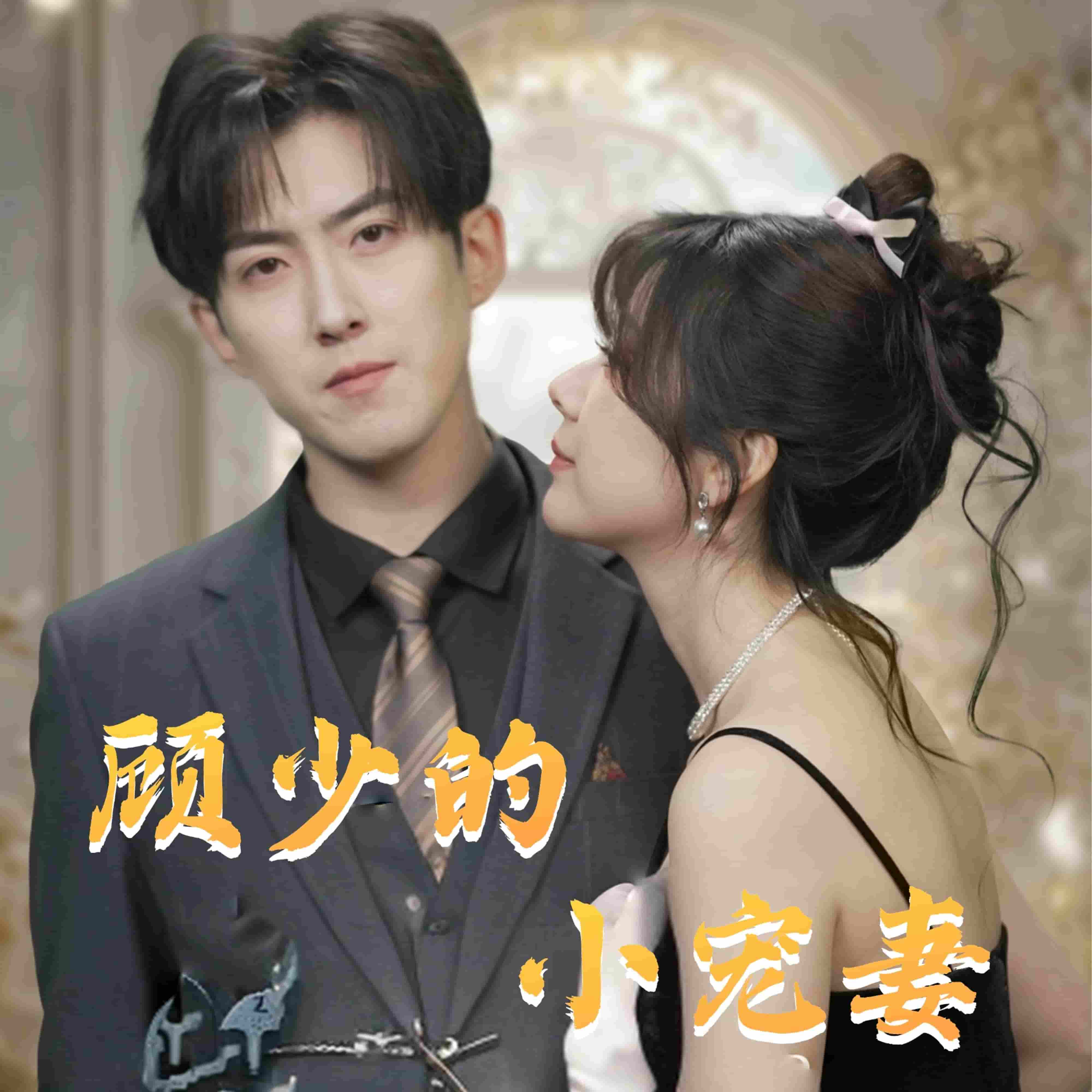 顾少的小宠妻全集