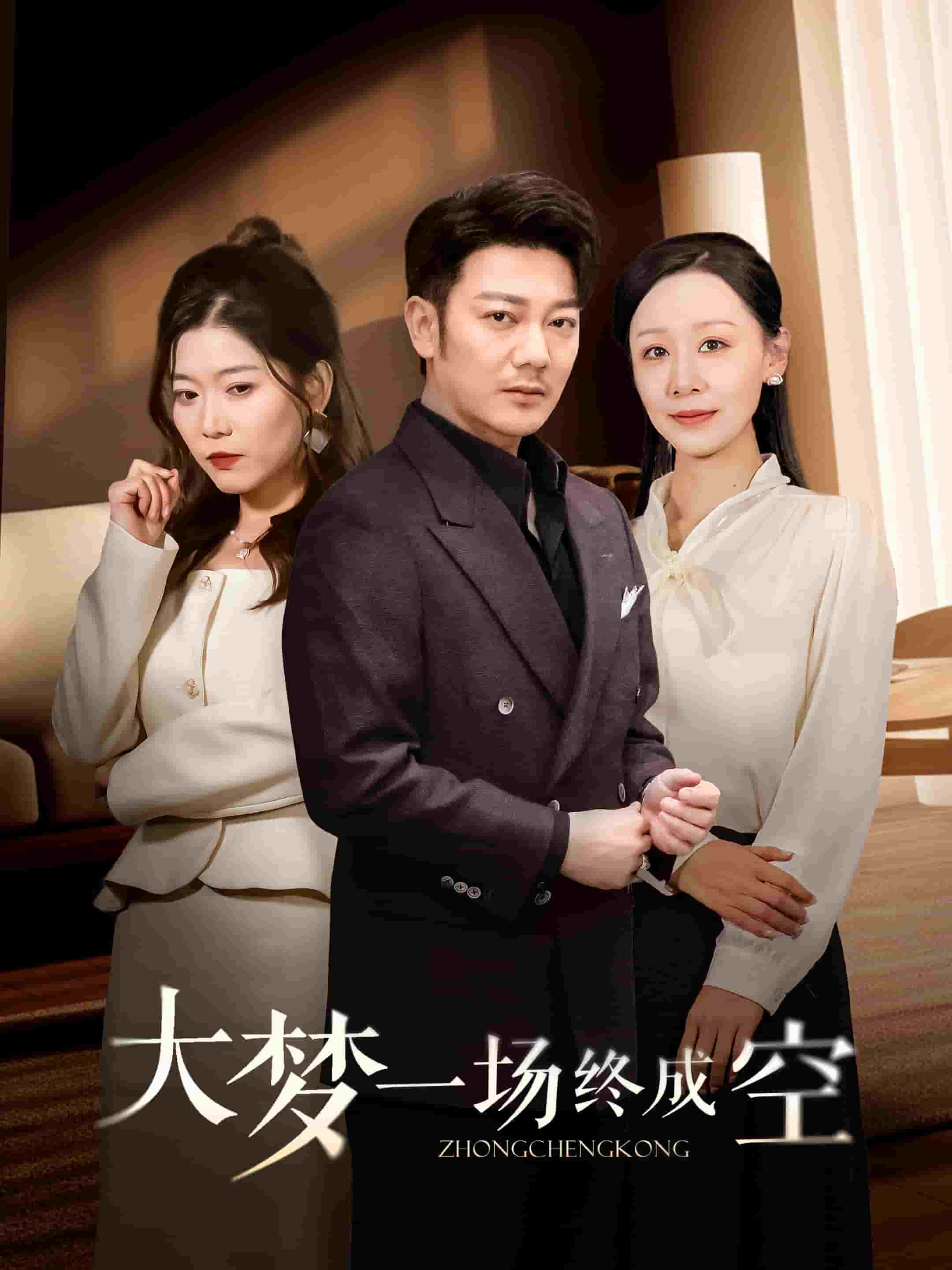 大梦一场终成空全集