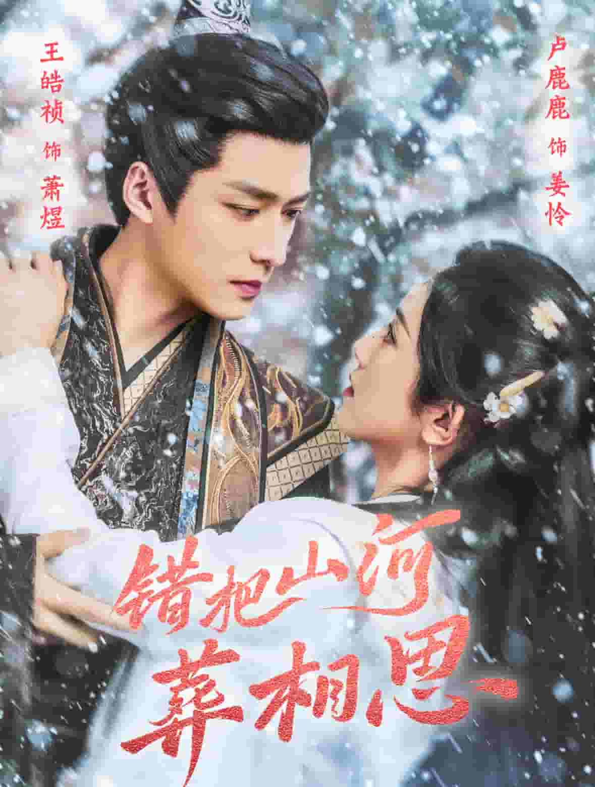 错把山河葬相思全集