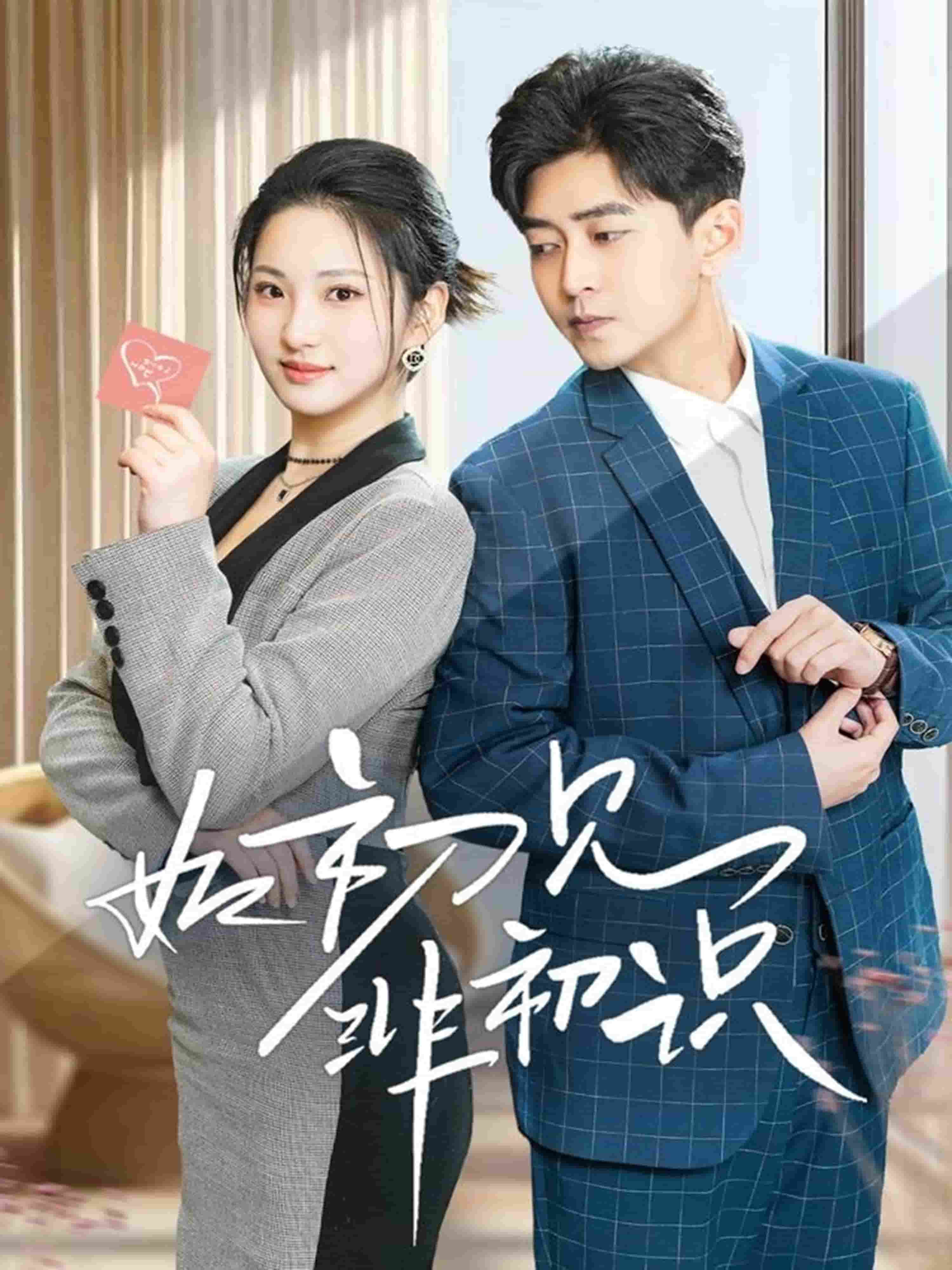 如初见非初识全集