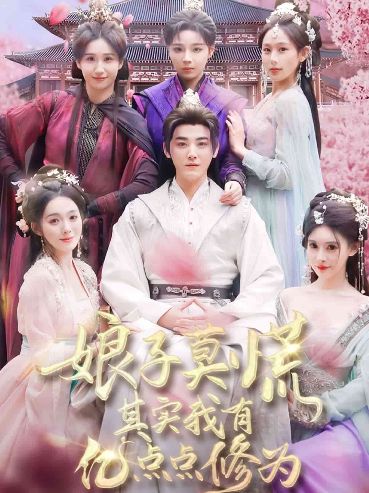 娘子莫慌其实我有亿点点修为全集