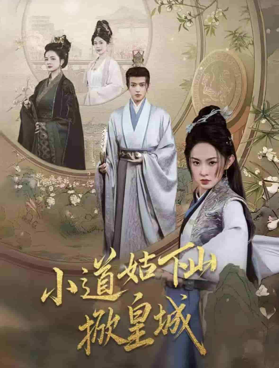 小道姑下山掀皇城全集