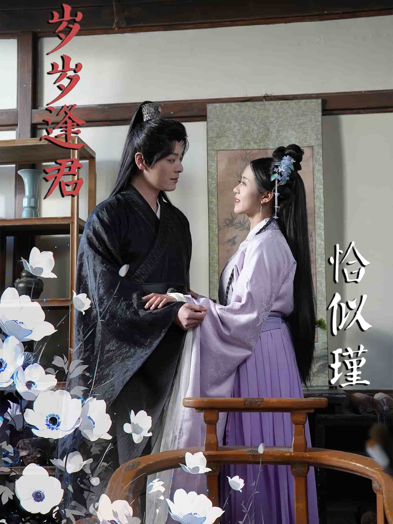 岁岁逢君恰似瑾全集