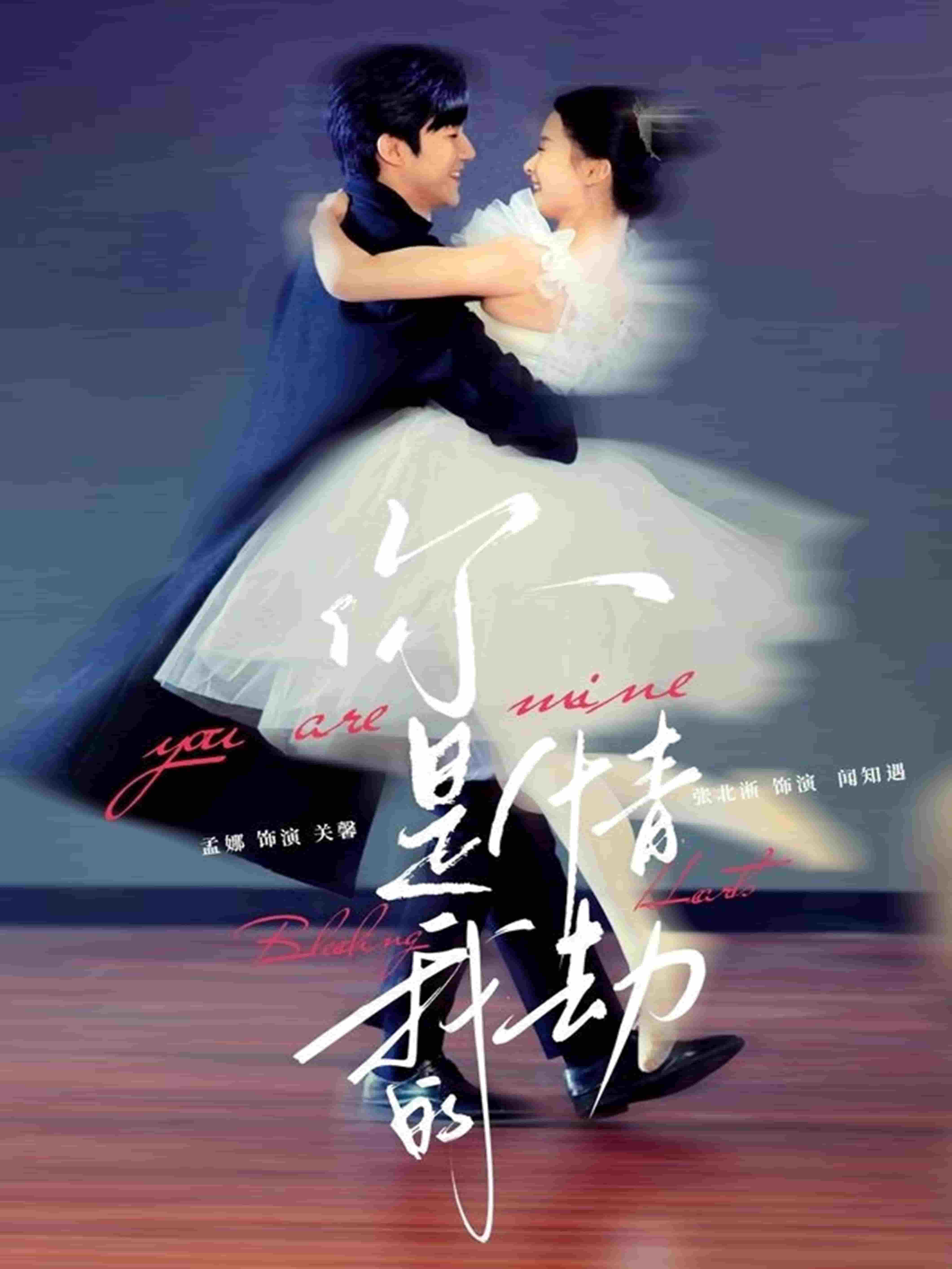 你是我的情劫全集