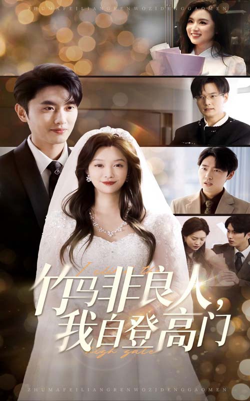 竹马非良人，我自登高门全集