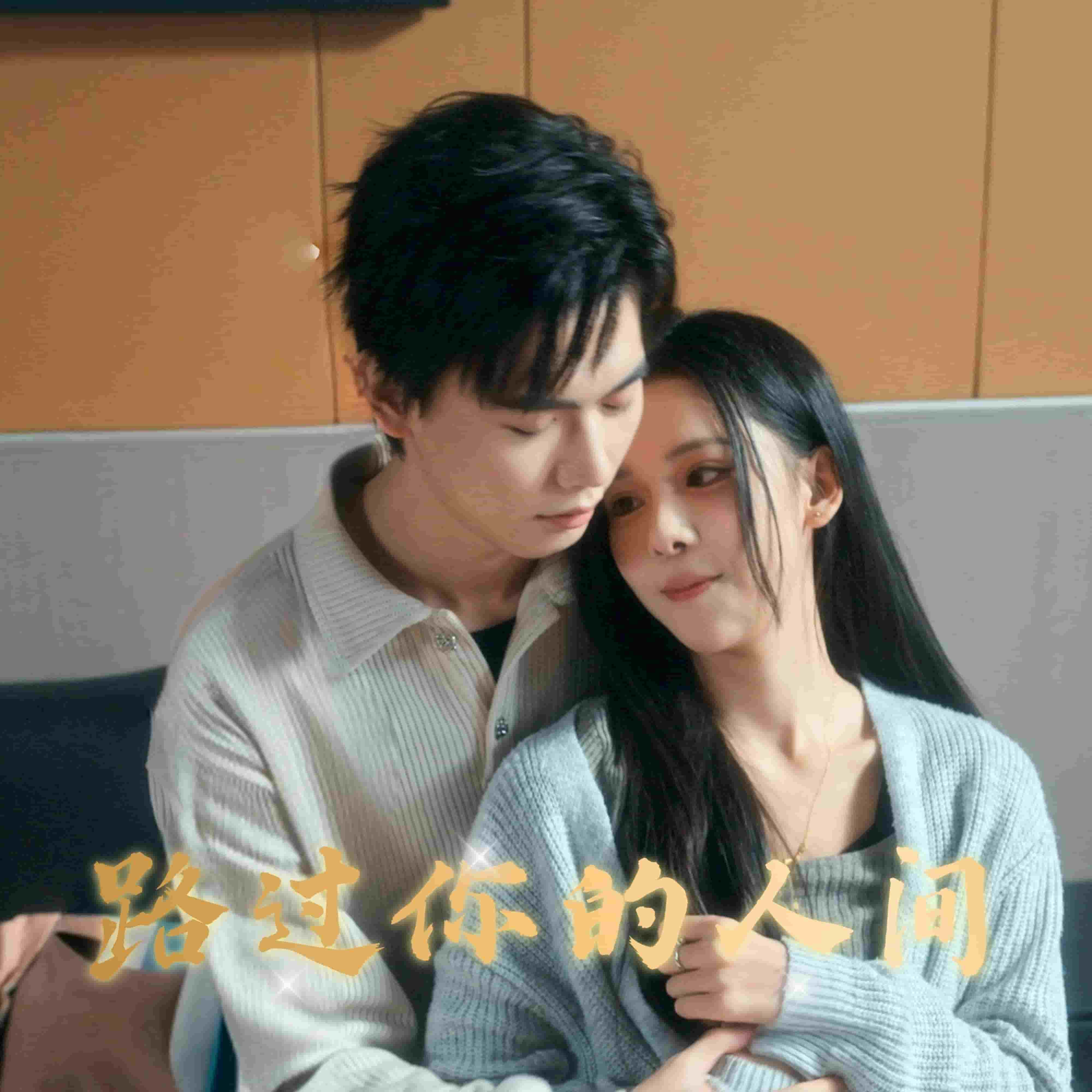 路过你的人间全集