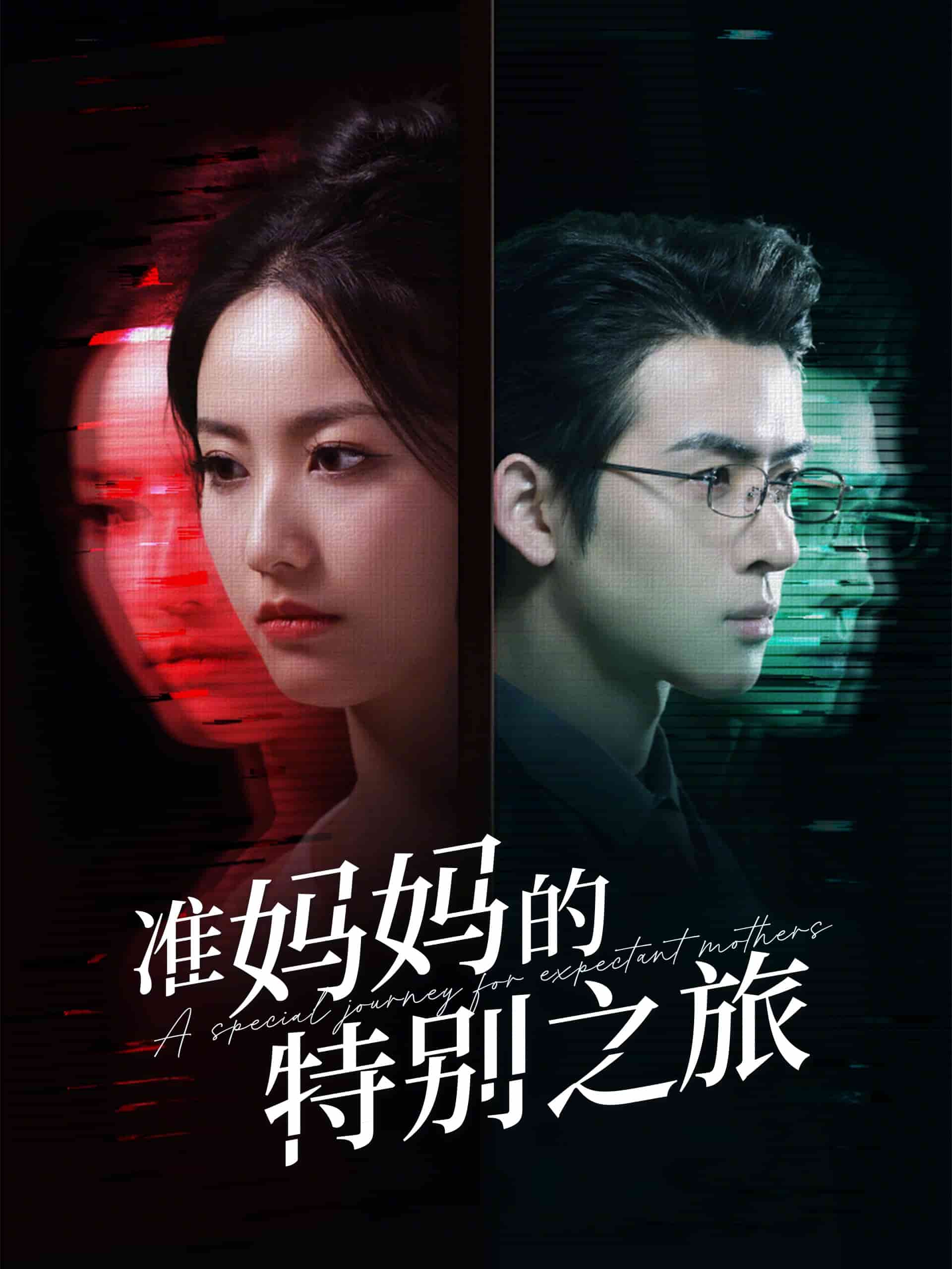 准妈妈的特别之旅全集