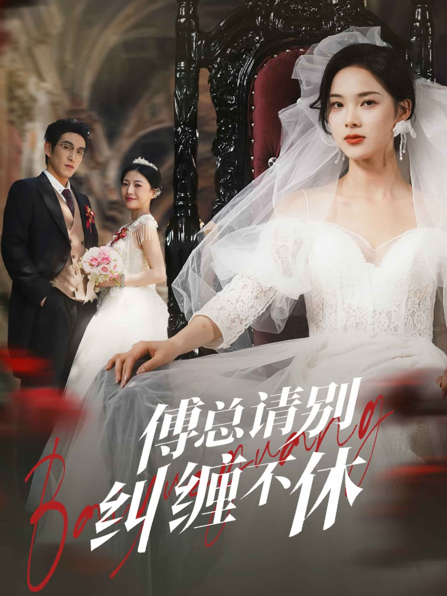 傅总请别纠缠不休全集