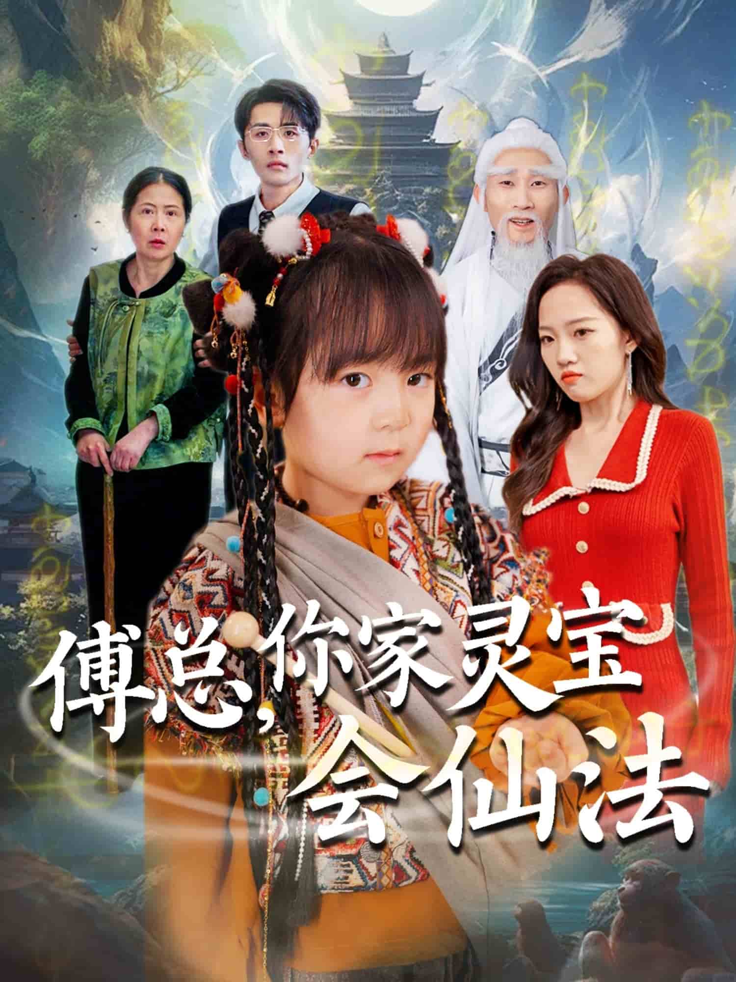 傅总，你家灵宝会仙法全集