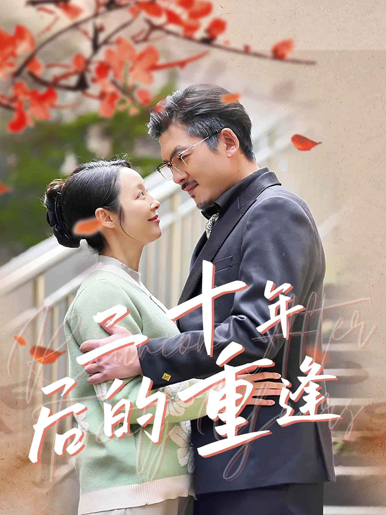 二十年后的重逢全集