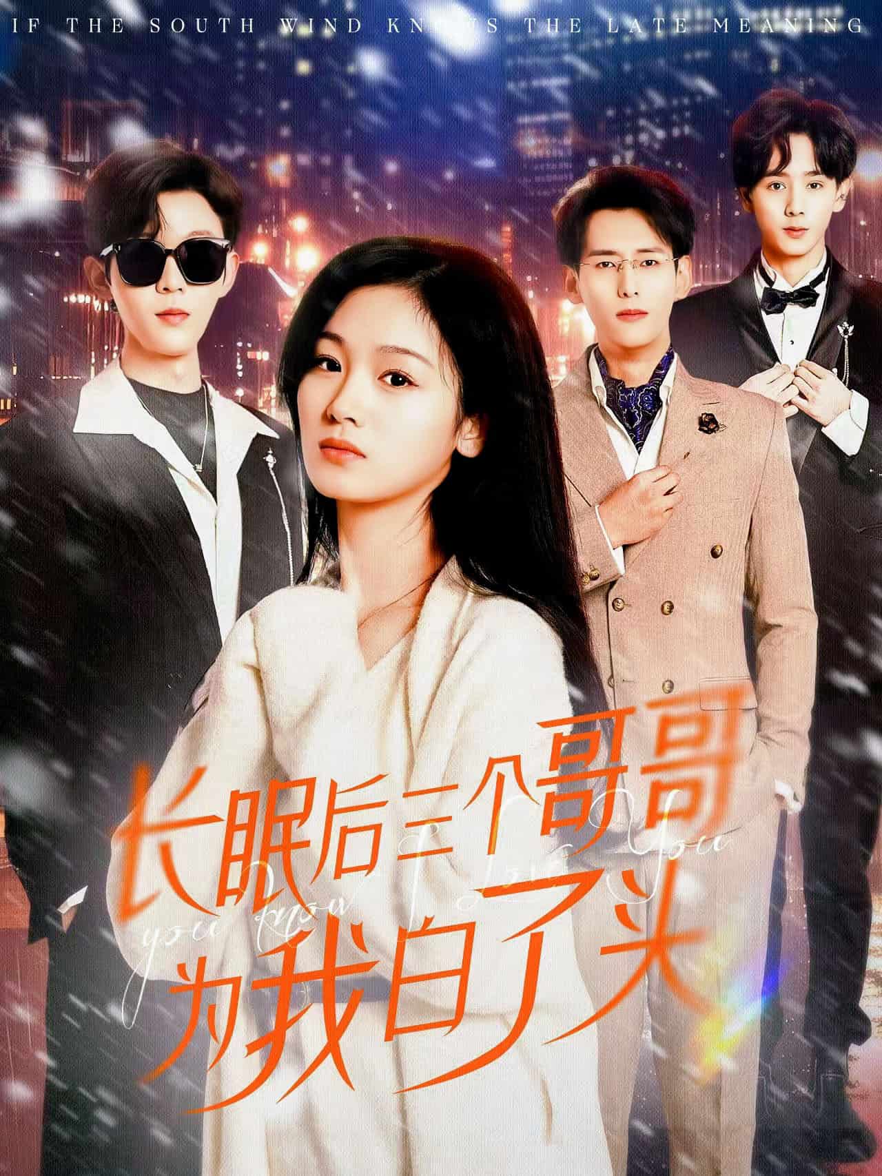 长眠后三个哥哥为我白了头全集