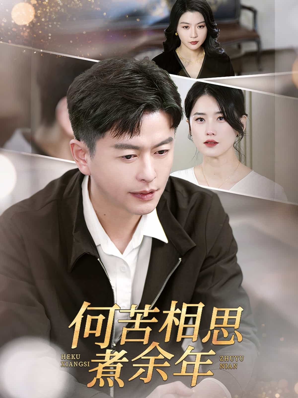 何苦相思煮余年全集