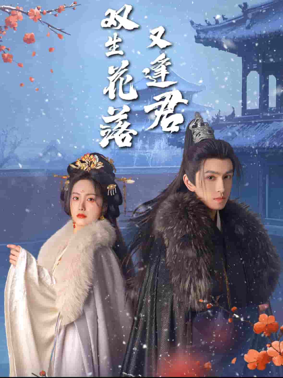 双生花落又逢君全集