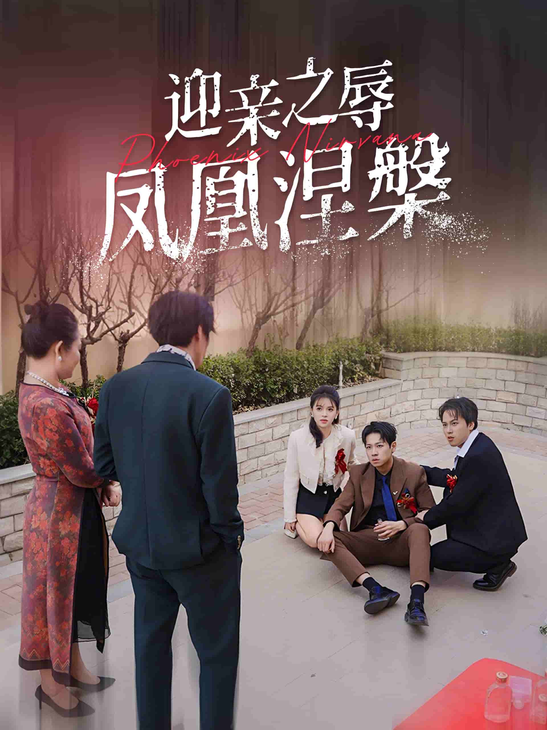 迎亲之辱凤凰涅槃全集