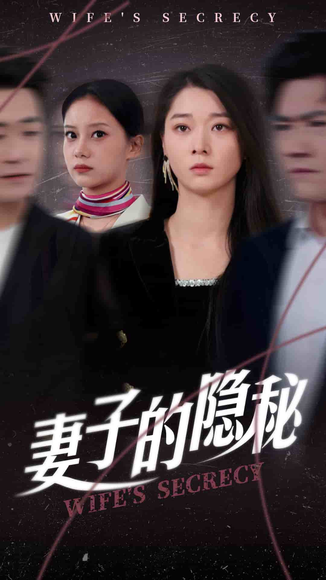 妻子的隐秘全集