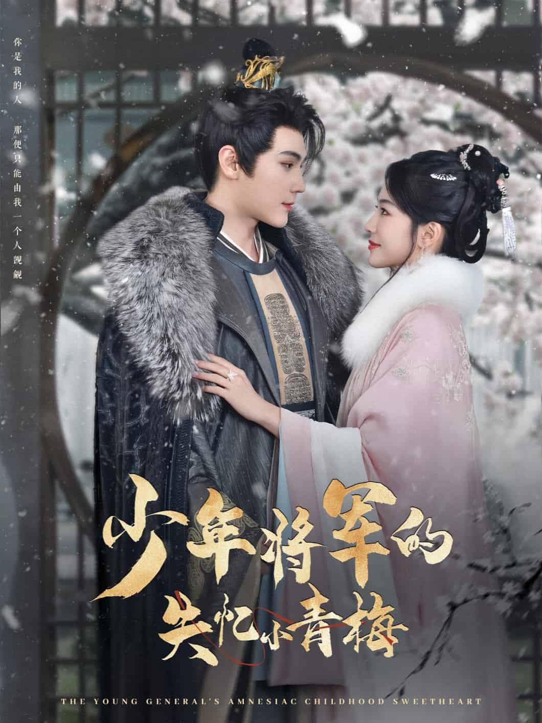 少年将军的失忆小青梅全集