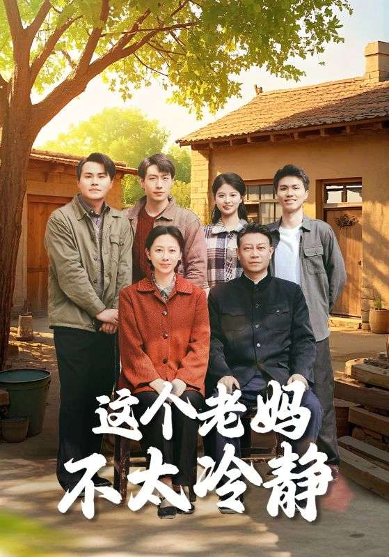 这个老妈不太冷静全集