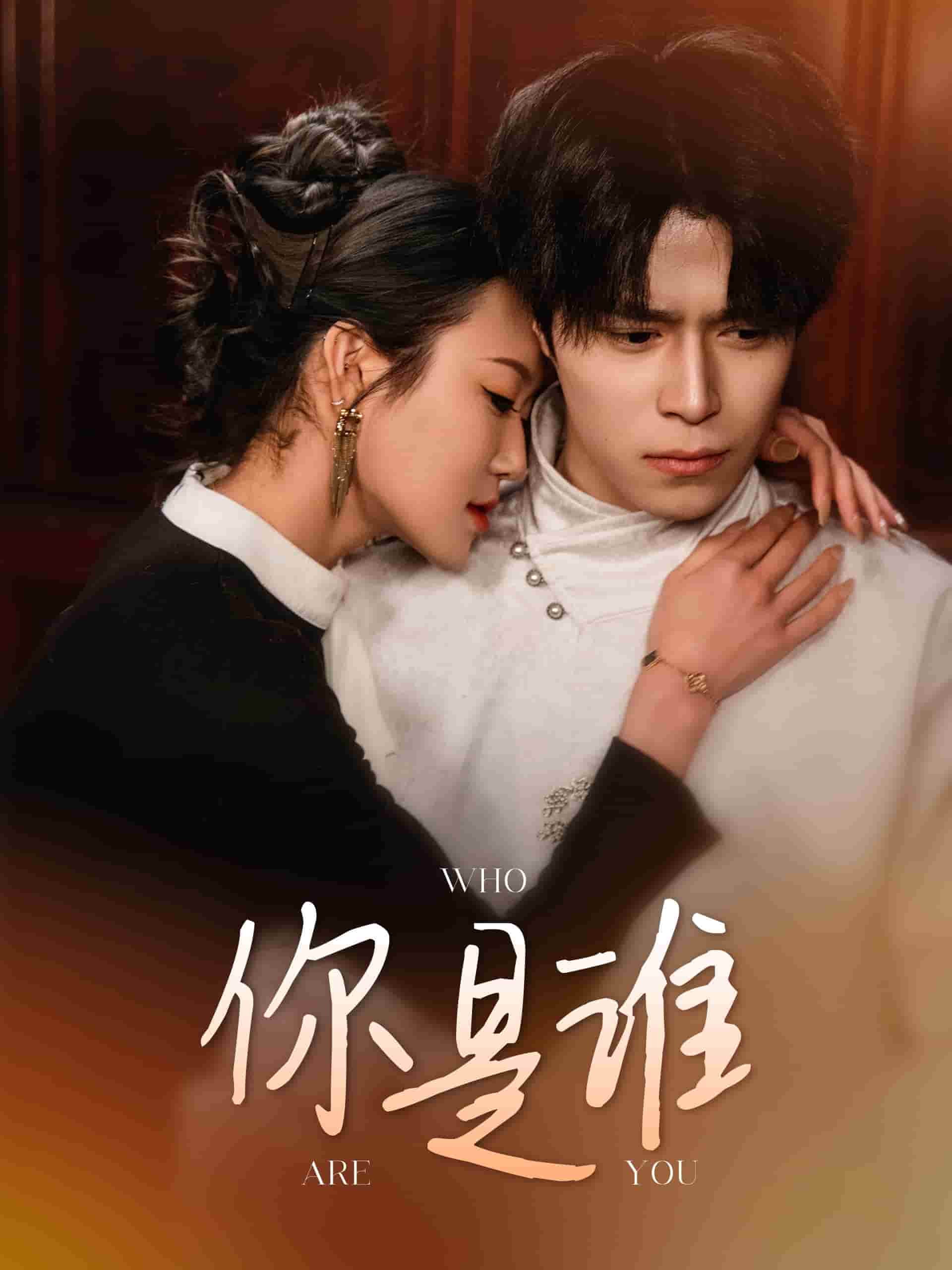 你是谁全集