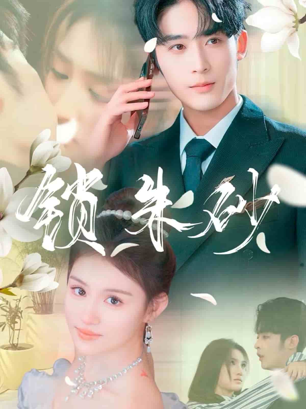 在火焰尽头等你全集