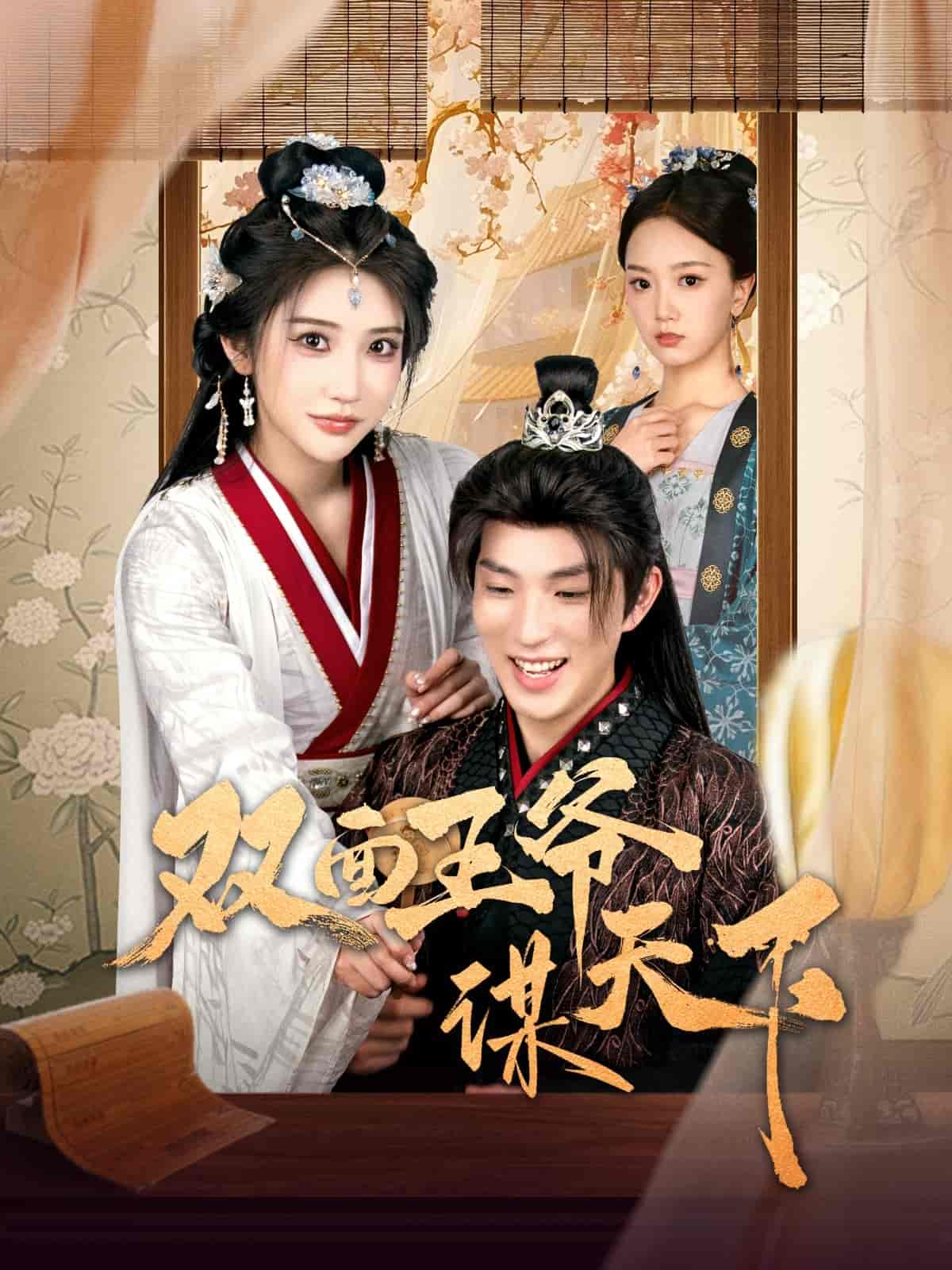 双面王爷谋天下全集