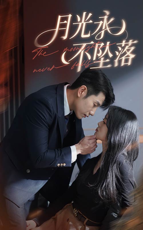 月光永不坠落全集