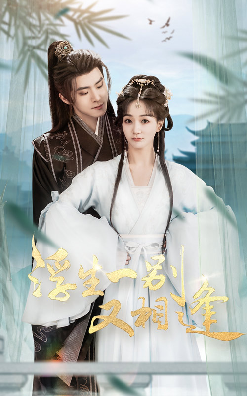 浮生一别又相逢全集