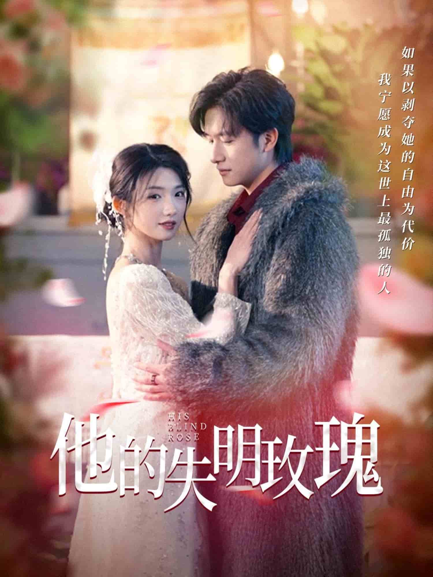 他的失明玫瑰全集