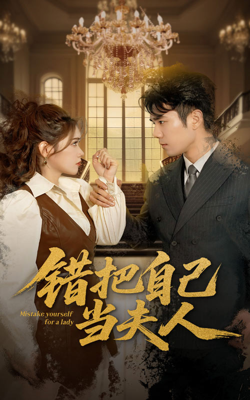 错把自己当夫人全集