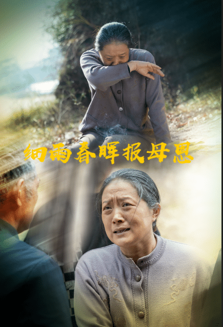 细雨春晖报母恩全集