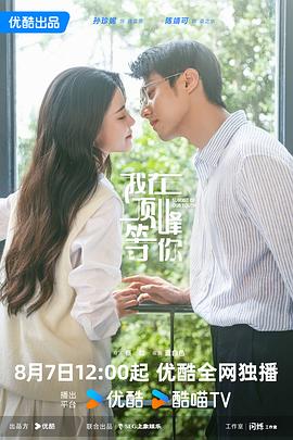 我在顶峰等你全集