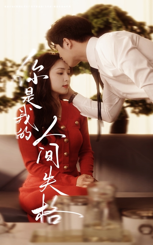 你是我的人间失格全集