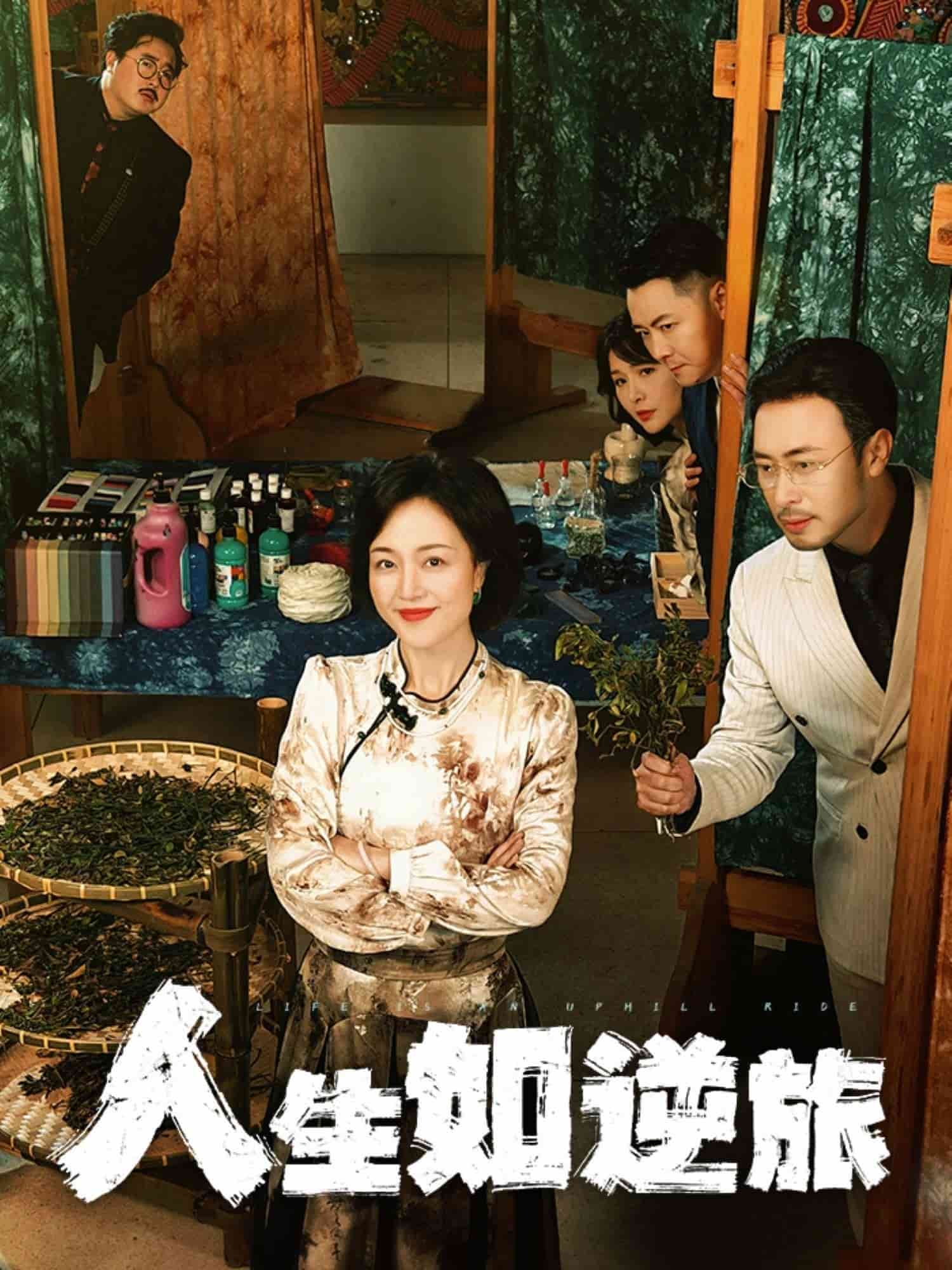 人生如逆旅全集