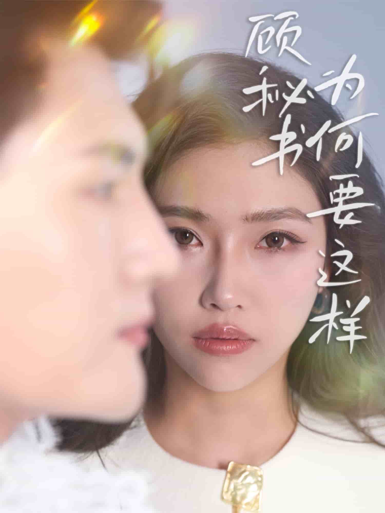 顾秘书为何要这样全集