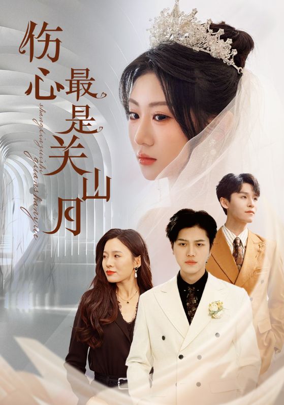 伤心最是关山月全集