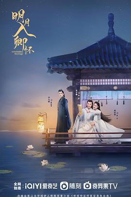 明月入卿怀全集