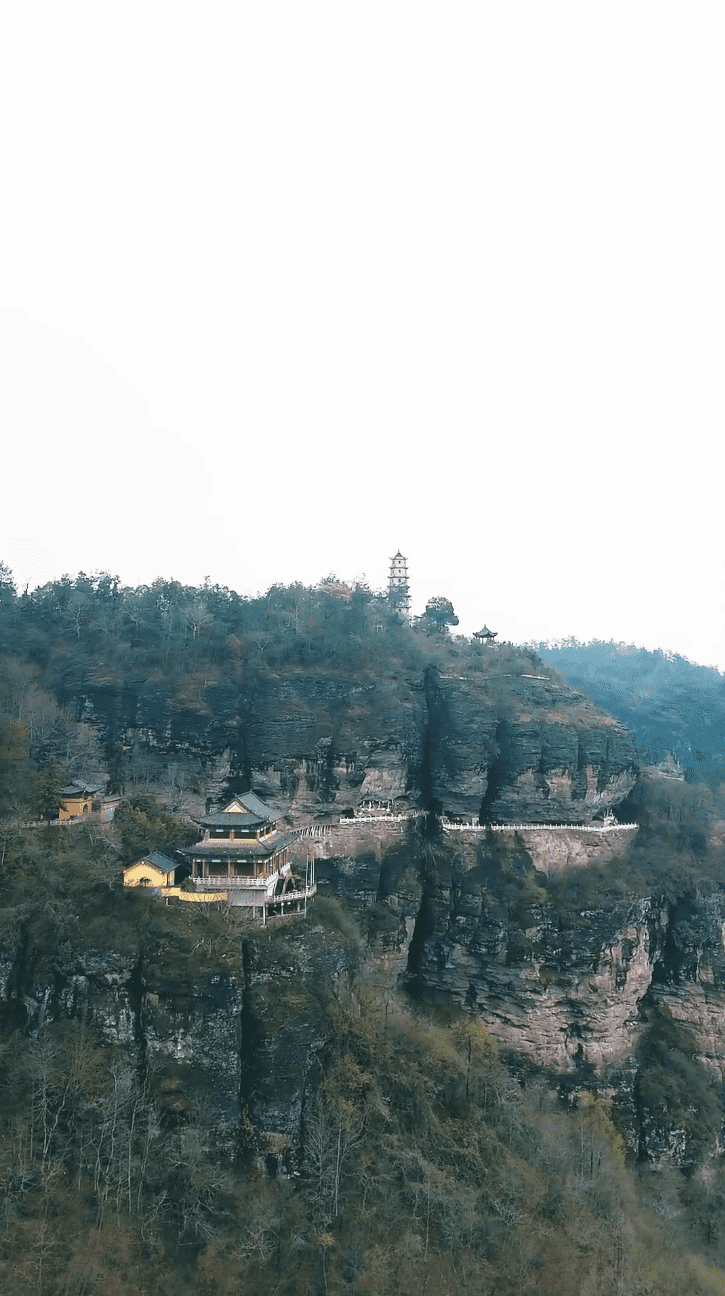 功夫萌宝神算爹全集