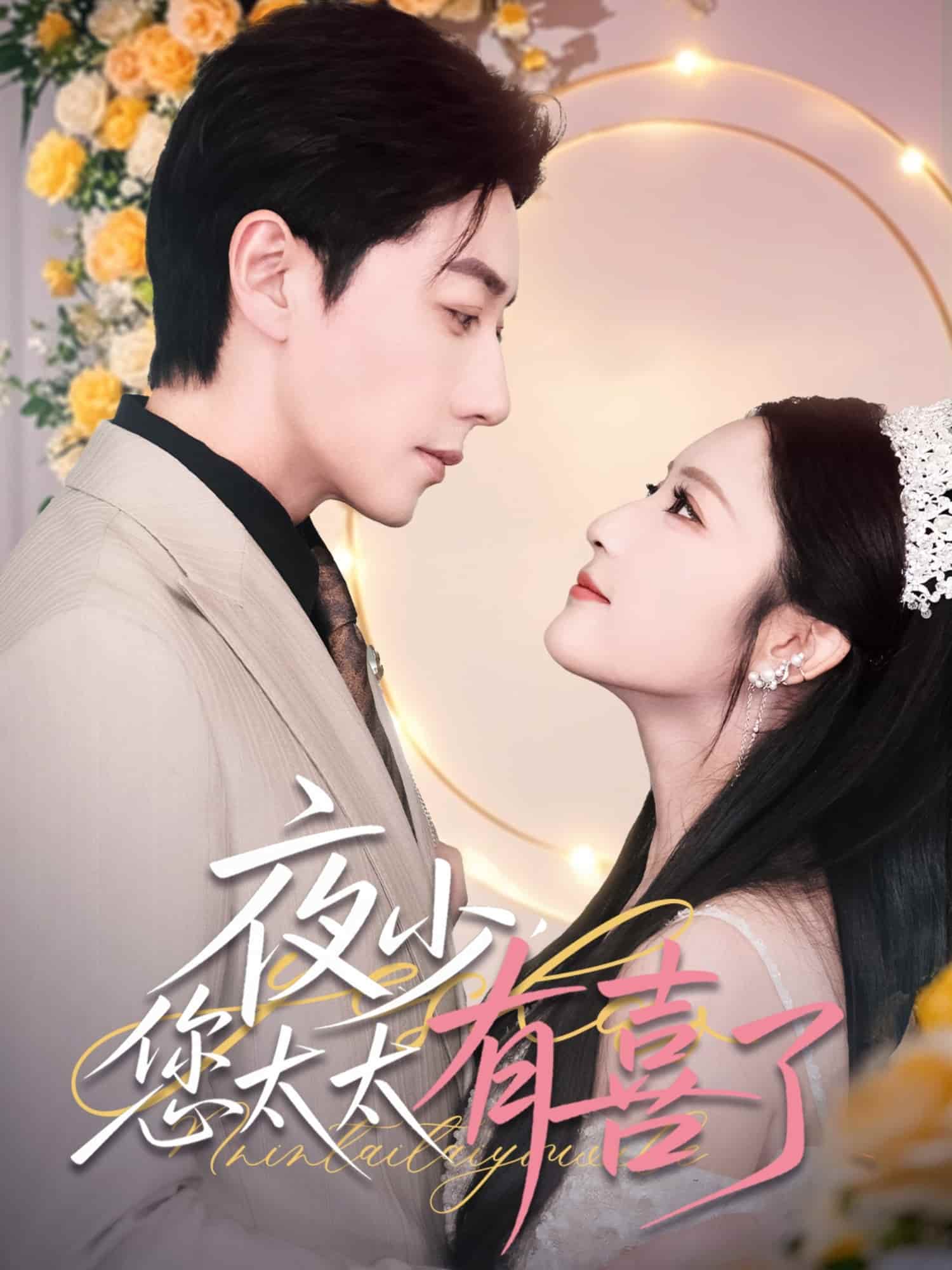 夜少，您太太有喜了全集