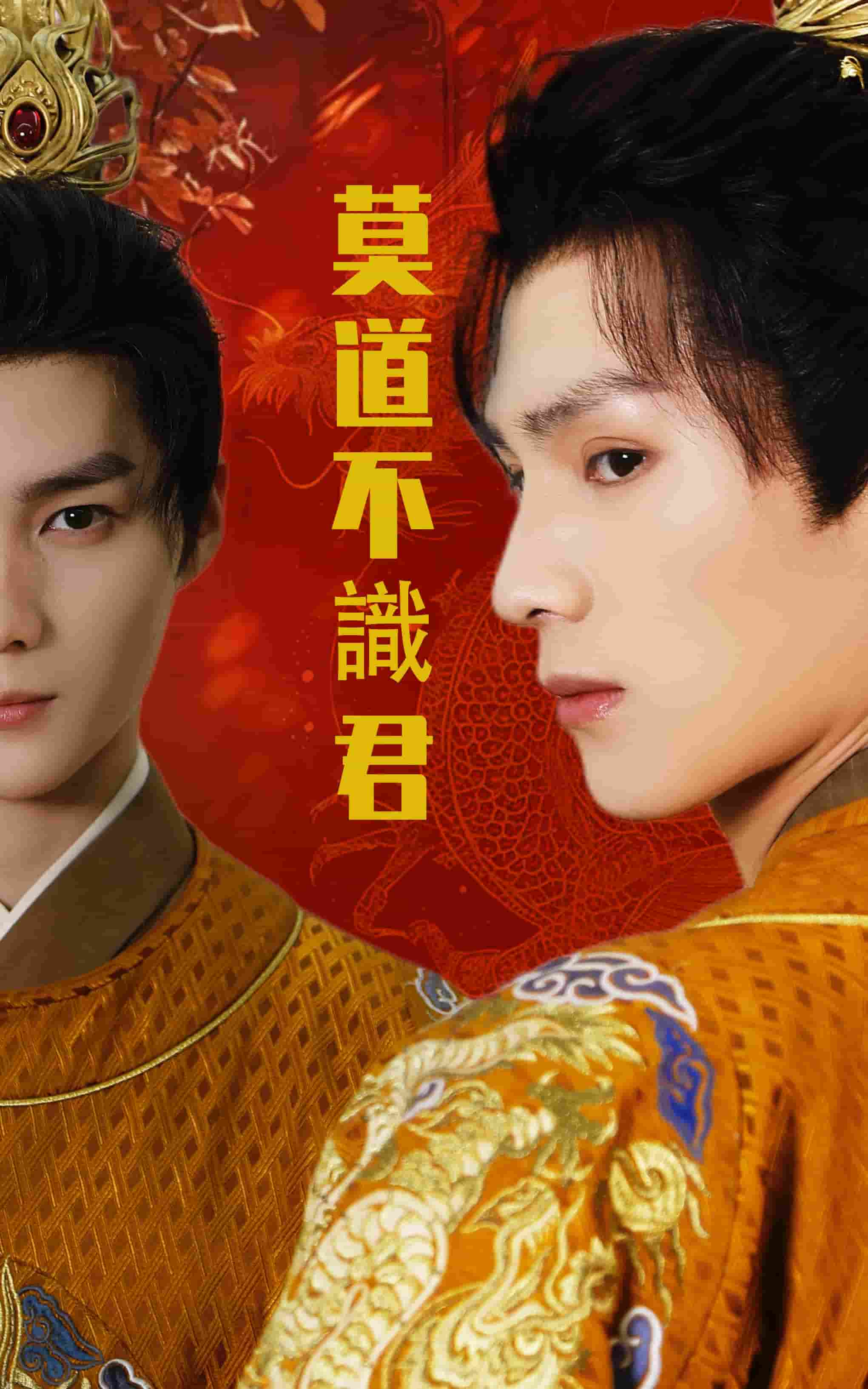 莫道不识君全集