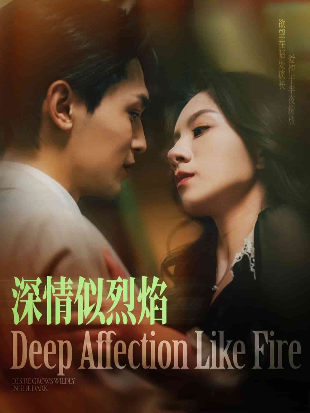 深情似烈焰全集