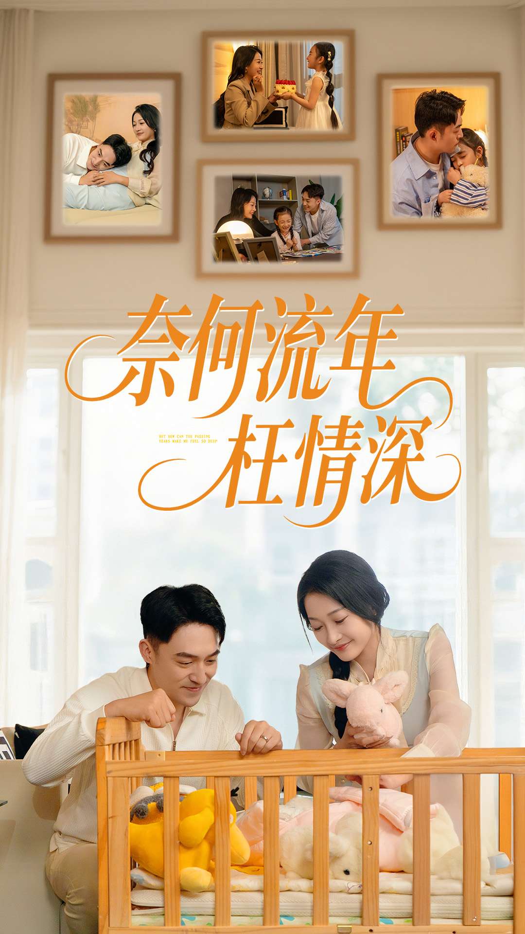 奈何流年枉情深全集