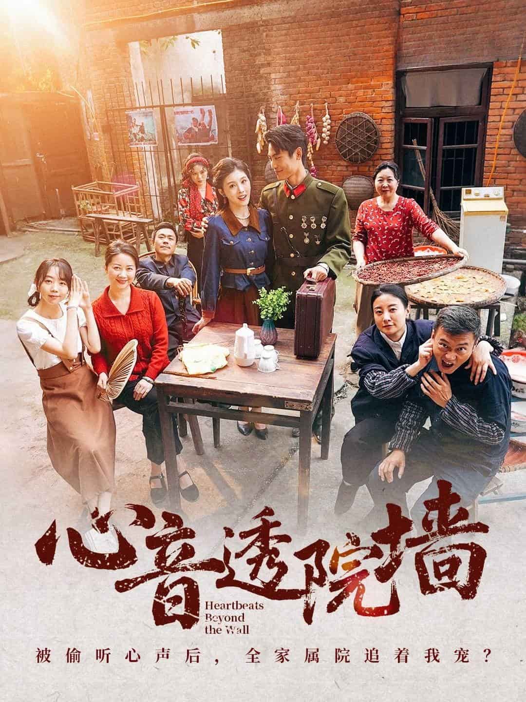 心音透院墙全集