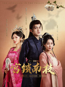 宫锁南枝全集