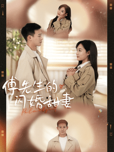 傅先生的闪婚甜妻全集