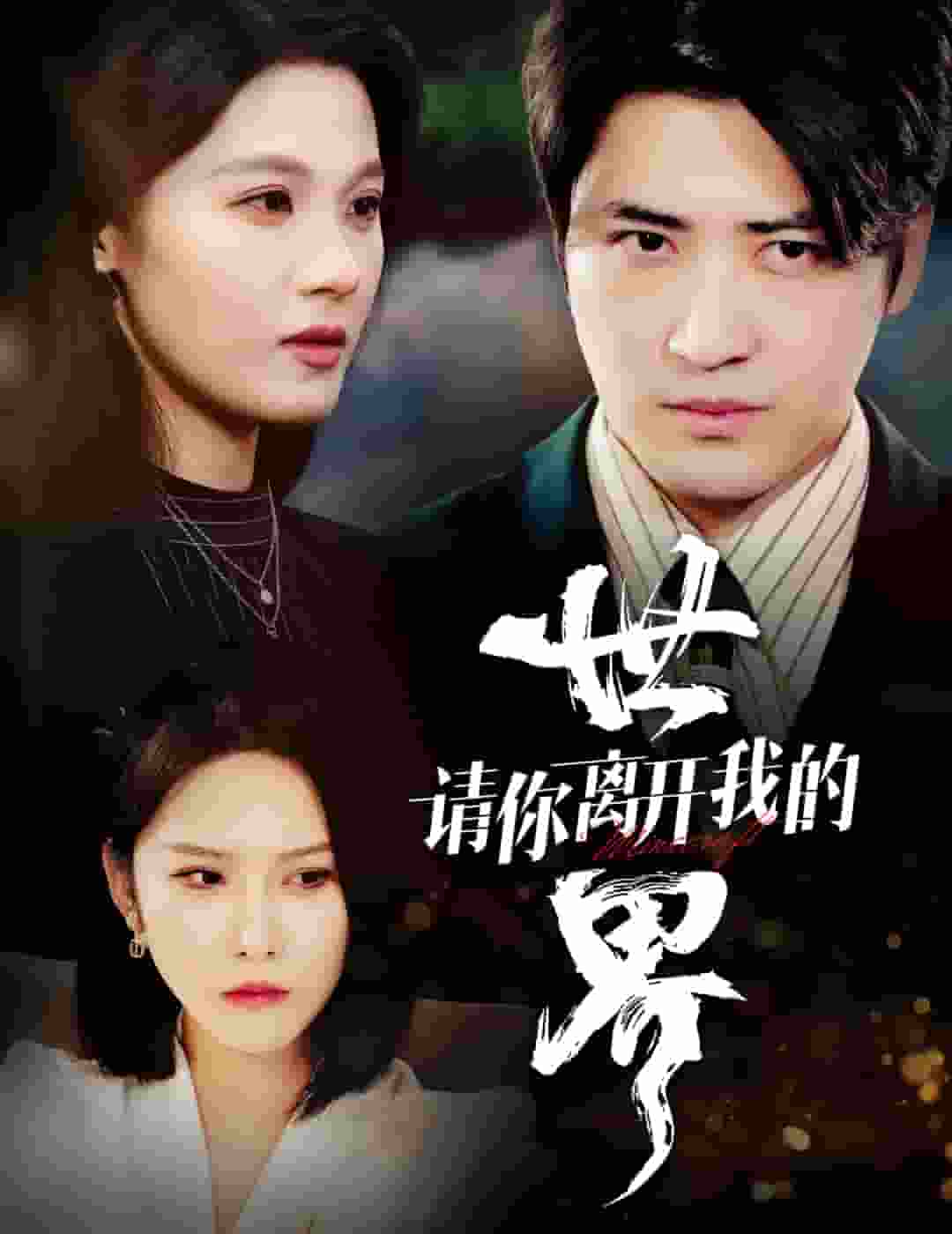 请你离开我的世界全集