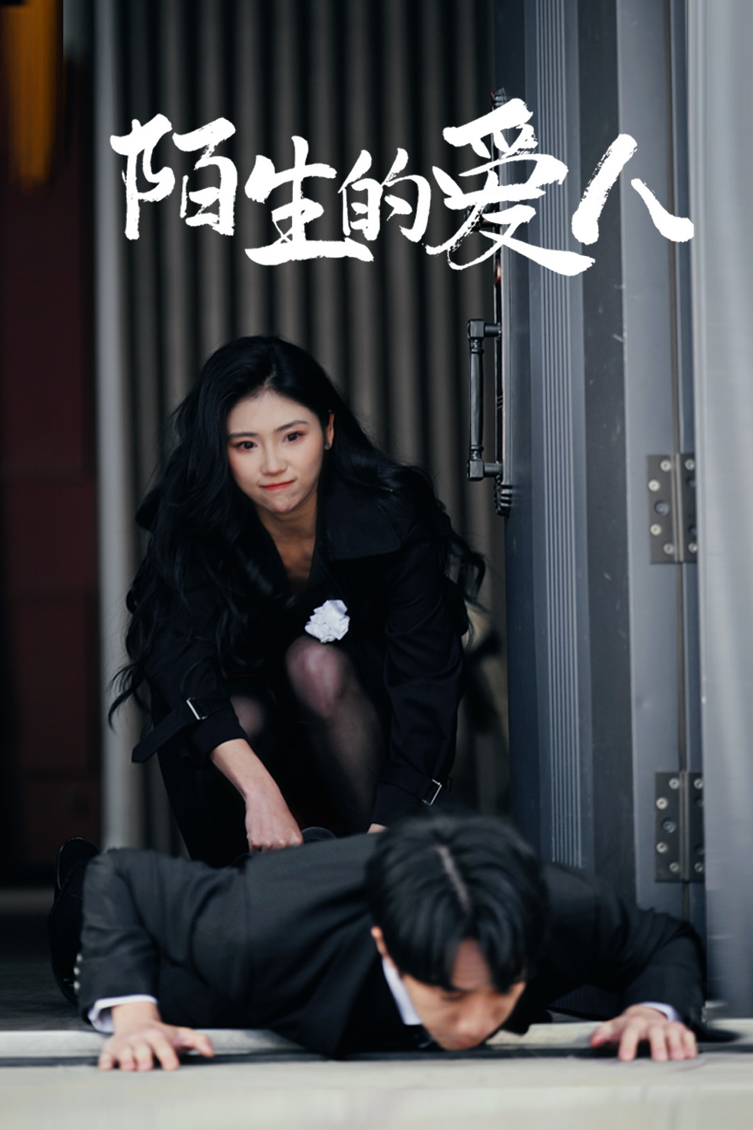 陌生的爱人全集