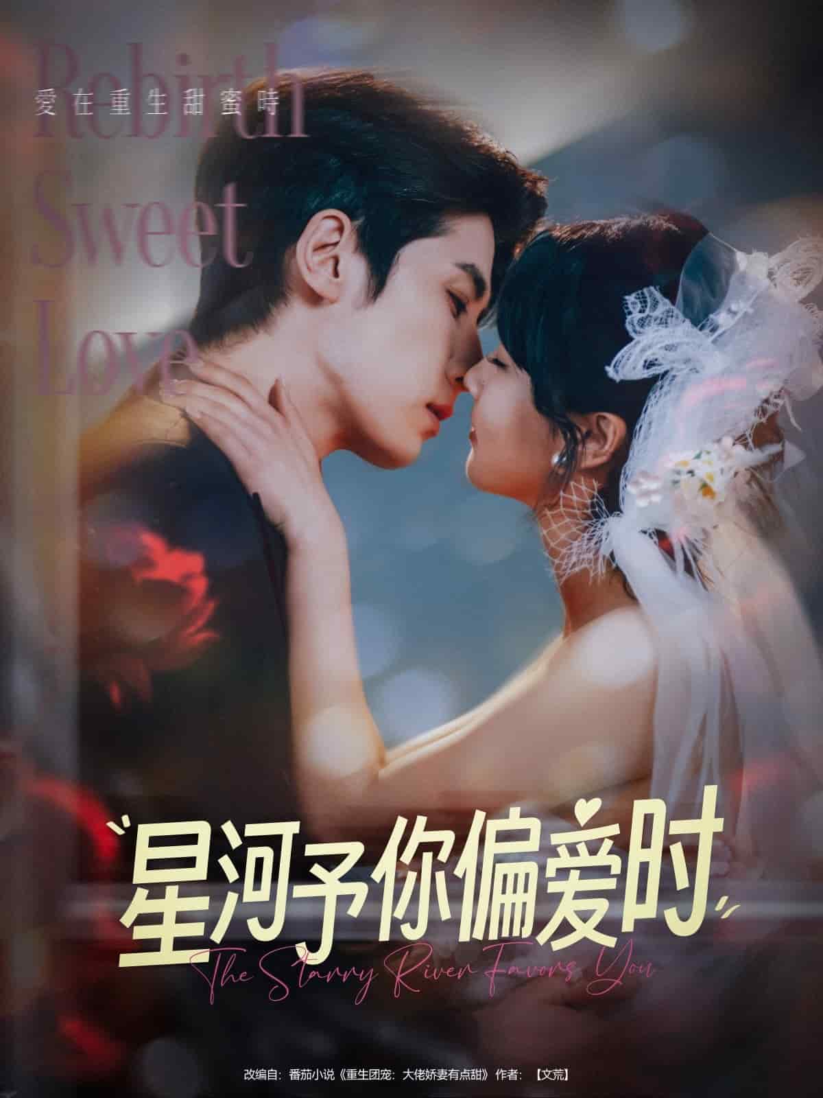 星河予你偏爱时全集