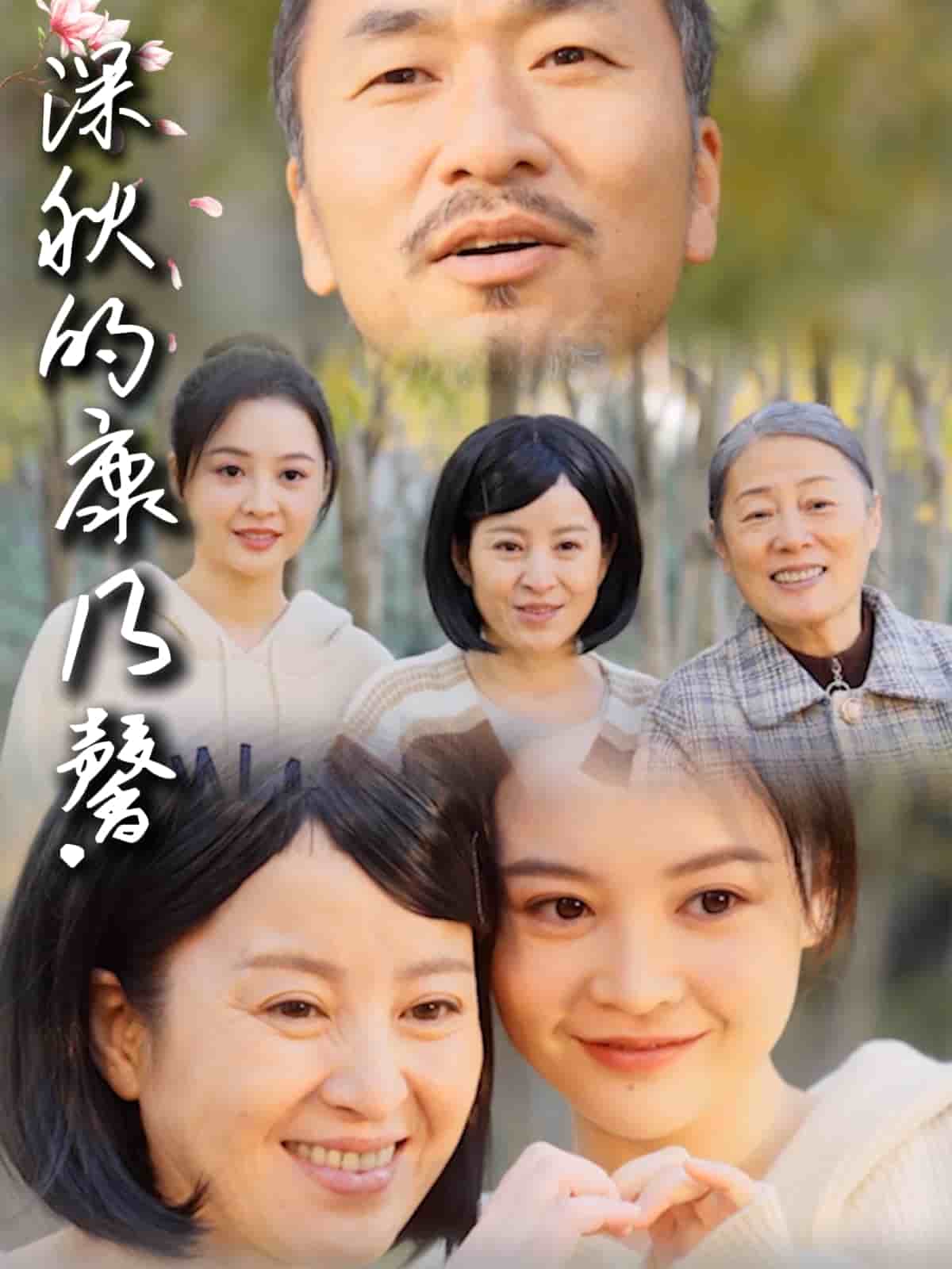 深秋的康乃馨全集