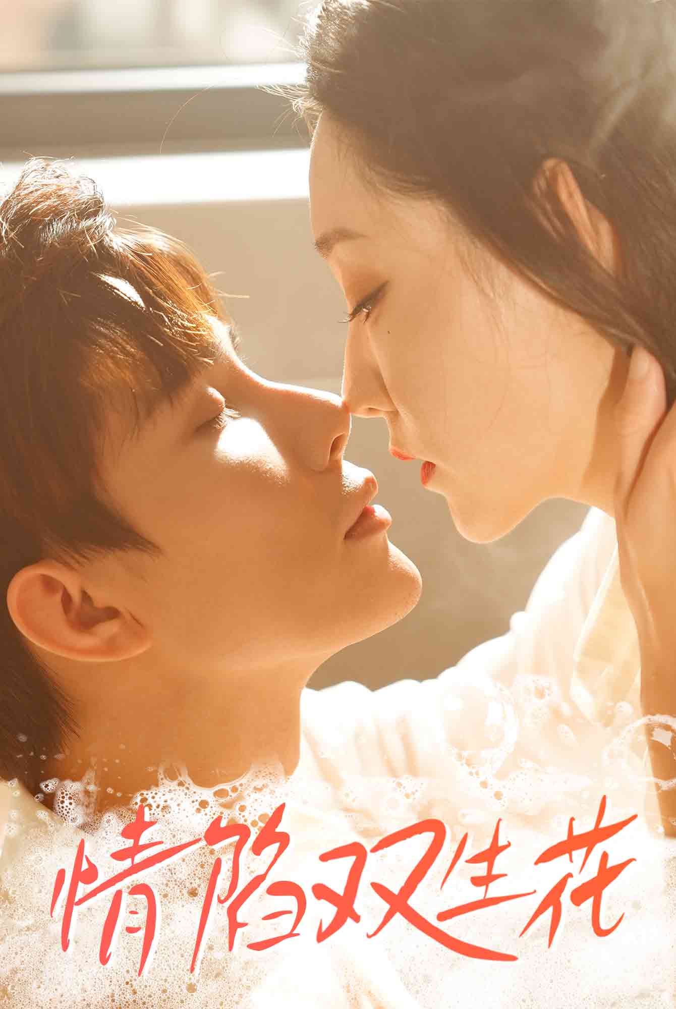 情陷双生花全集