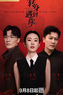 转身遇到你全集